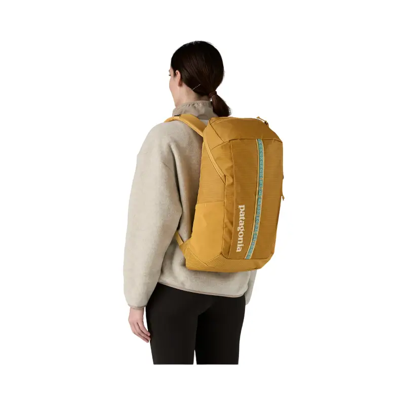patagonia mochila black hole 25l