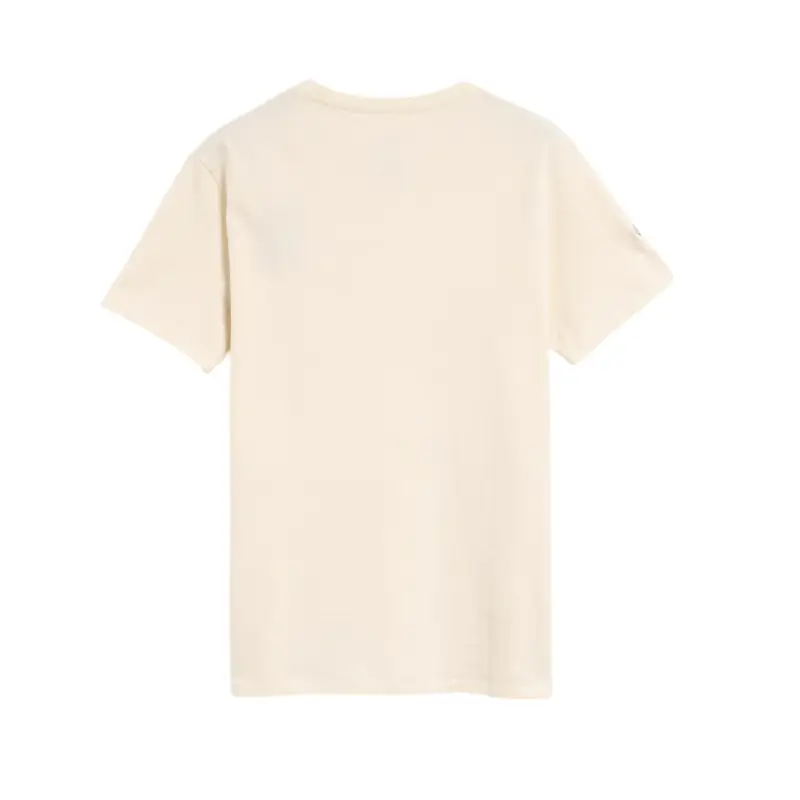 patagonia t-shirt fitz roy icon