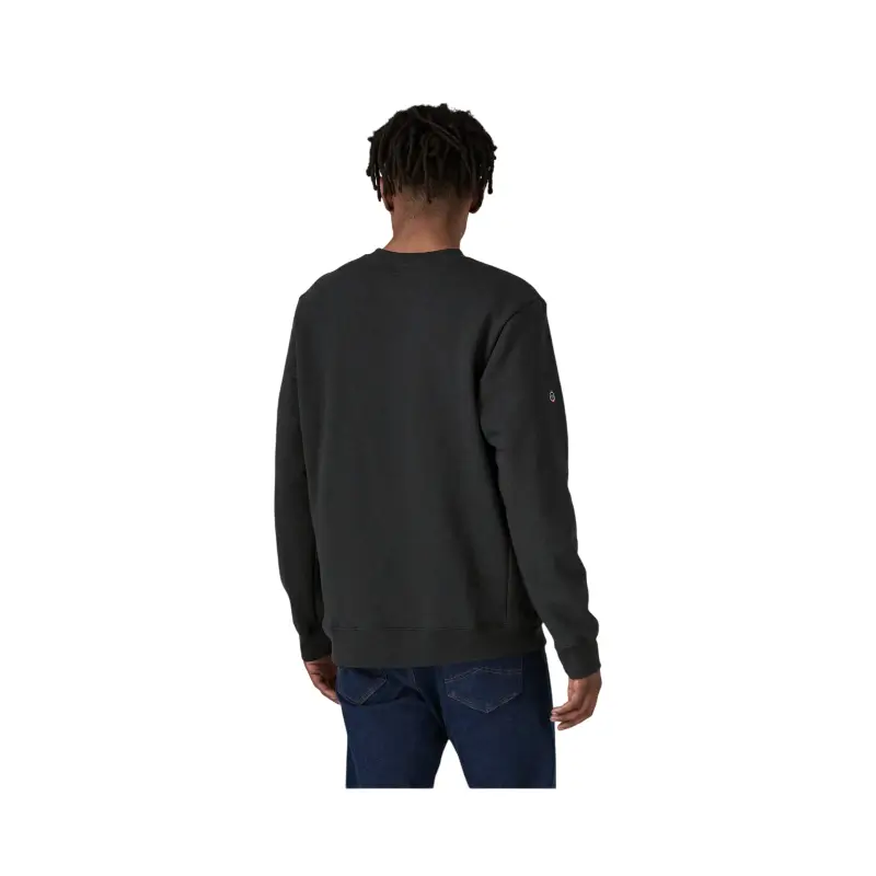 patagonia camisola fitz roy coin uprisal