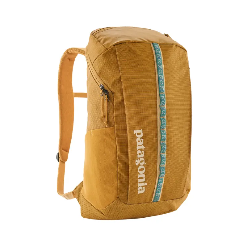 patagonia mochila black hole 25l