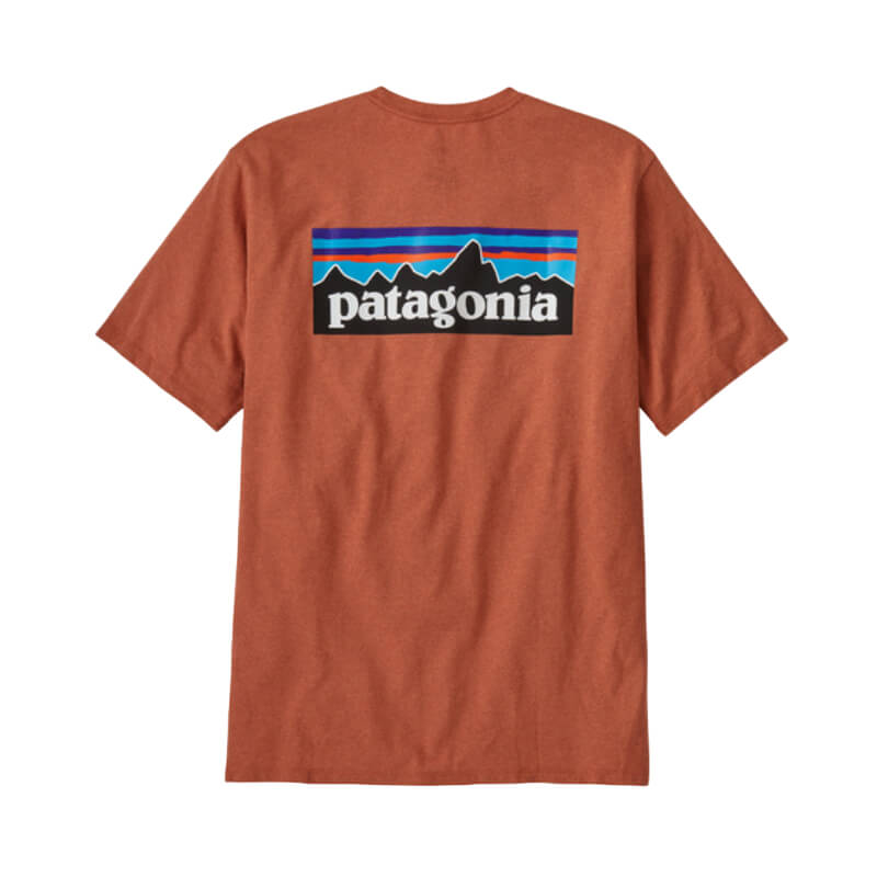 patagonia t-shirt p-6 logo 