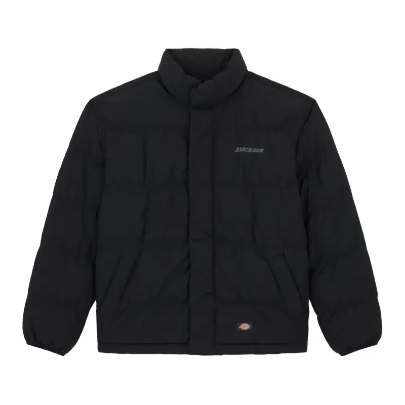 dickies casaco scobey