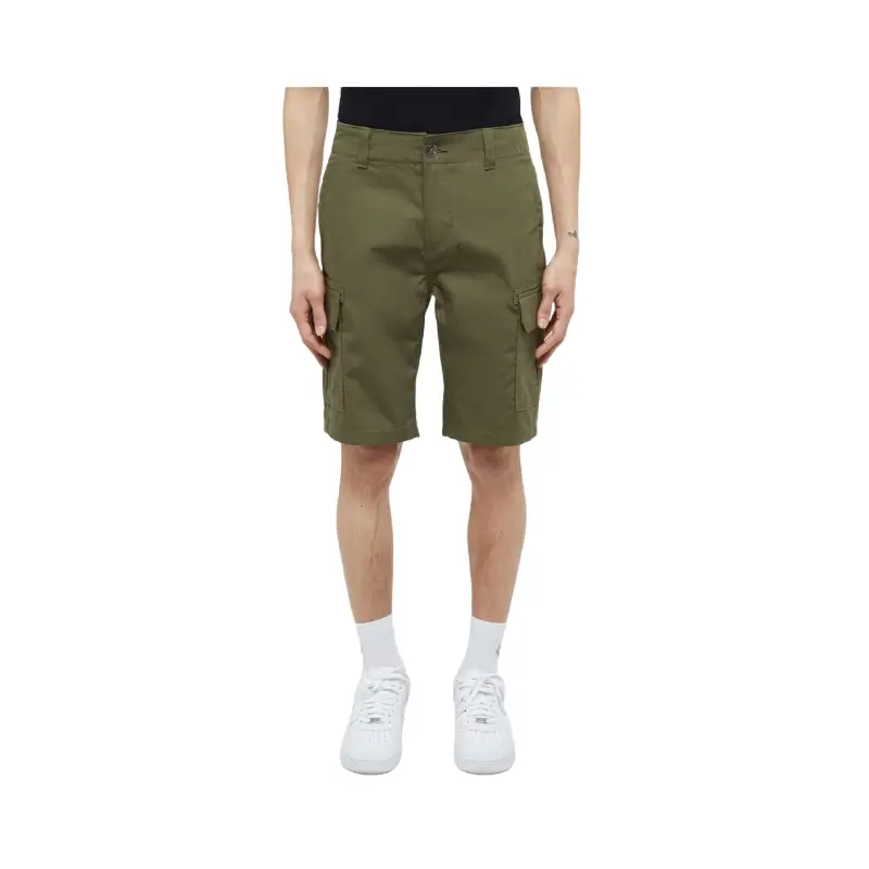 dickies calções millerville